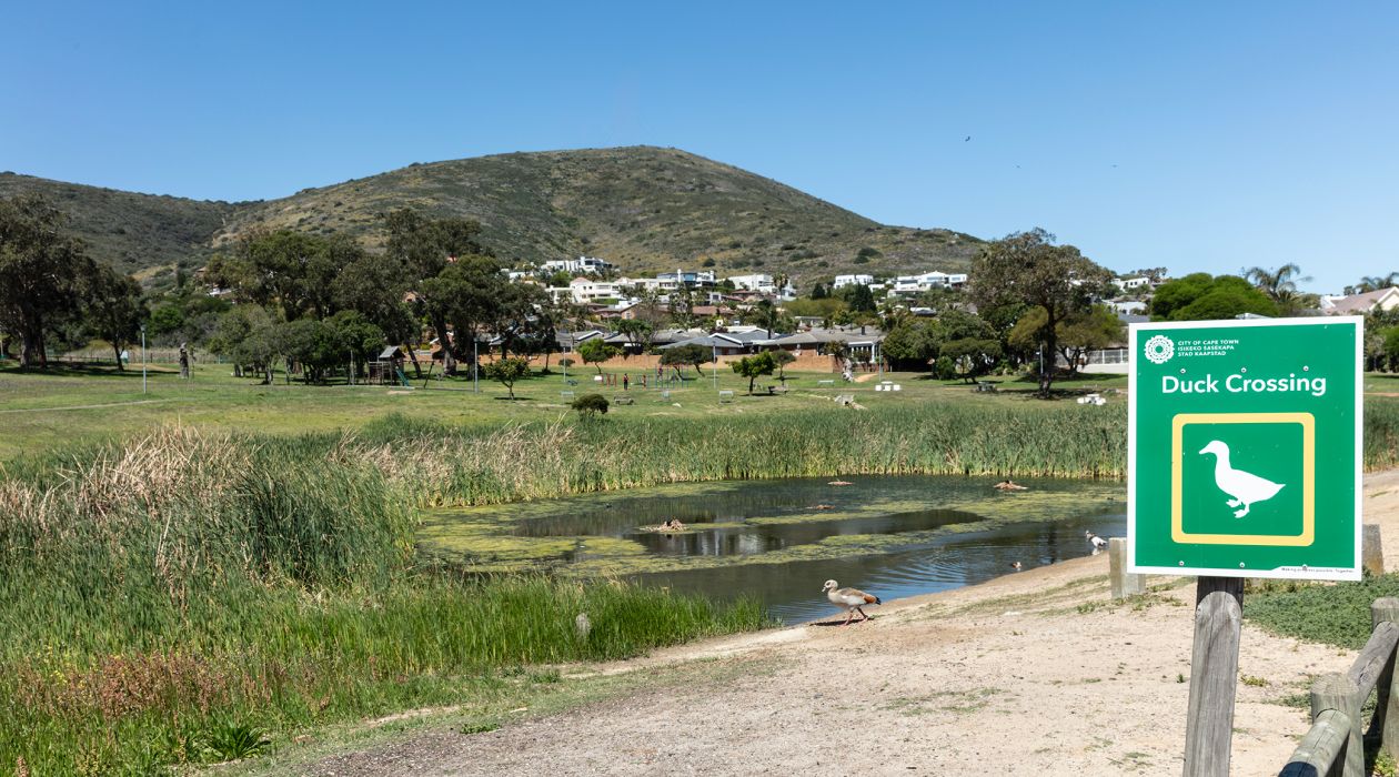 Bring the kids to Olienhout Park & Plattekloof Duck Pond