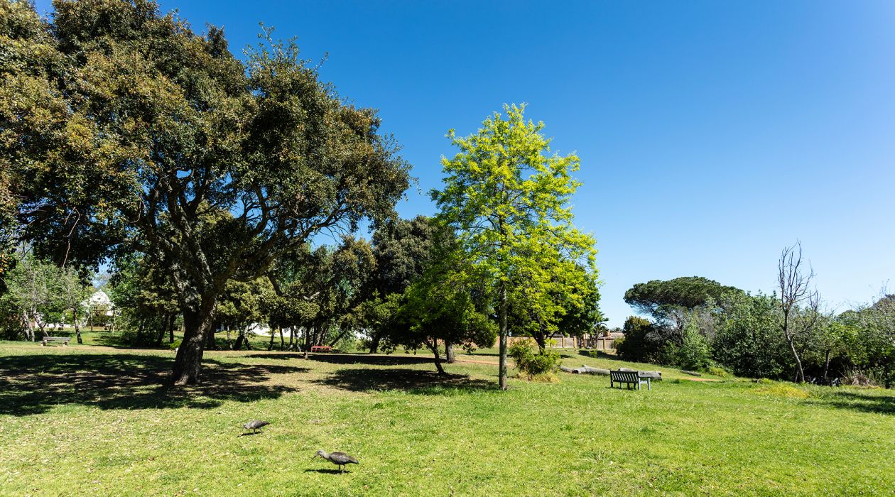 Relax outdoors at the scenic Frikkie Knoetze Arboretum
