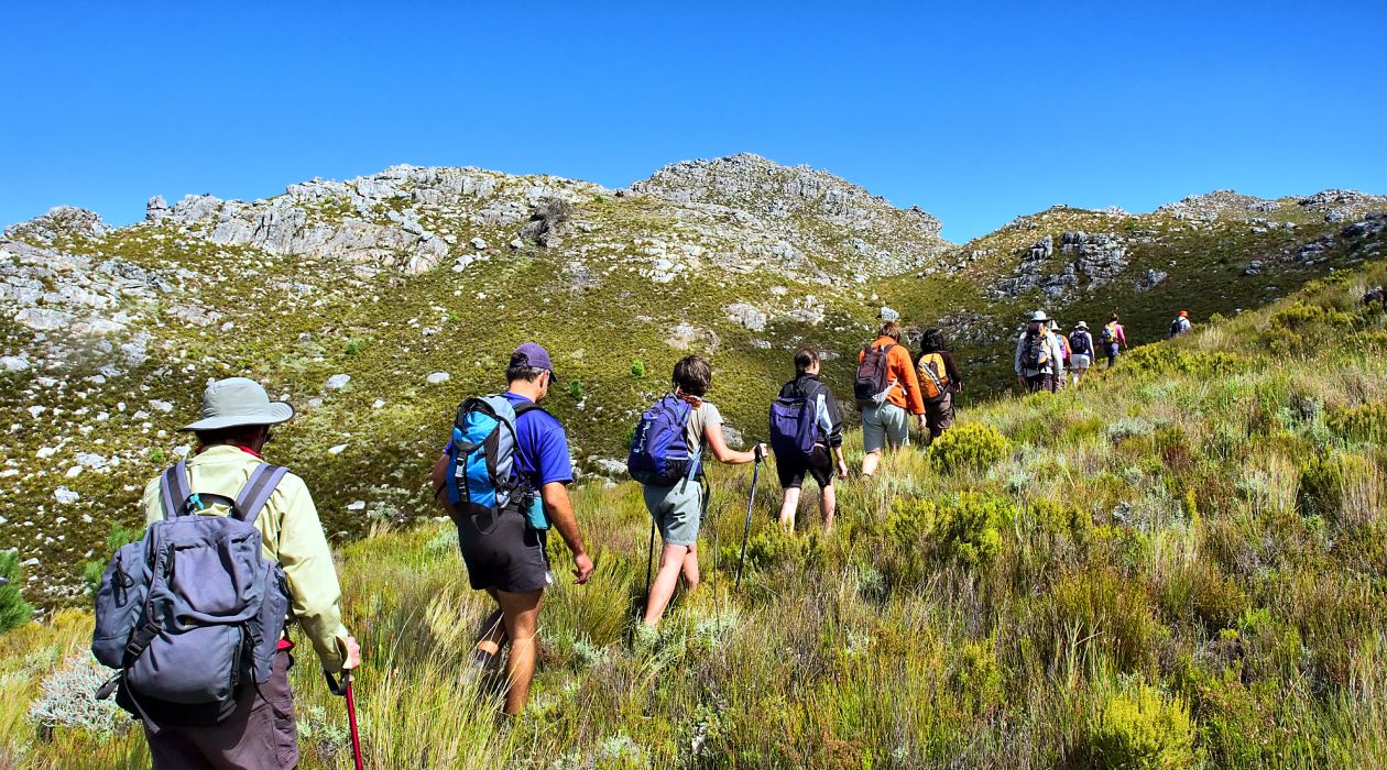 Hike the trails of the scenic Tygerberg Nature Reserve